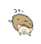 おにぎりみたいな、ハリネズミ。（個別スタンプ：7）