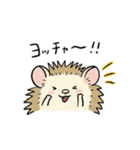 おにぎりみたいな、ハリネズミ。（個別スタンプ：10）