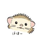 おにぎりみたいな、ハリネズミ。（個別スタンプ：12）