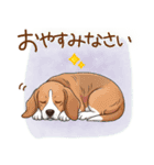 元気いっぱい♪ビーグルの日常スタンプ（個別スタンプ：5）