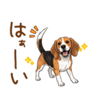 元気いっぱい♪ビーグルの日常スタンプ（個別スタンプ：9）