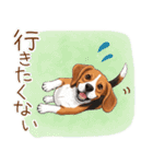 元気いっぱい♪ビーグルの日常スタンプ（個別スタンプ：12）