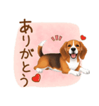 元気いっぱい♪ビーグルの日常スタンプ（個別スタンプ：23）