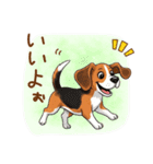 元気いっぱい♪ビーグルの日常スタンプ（個別スタンプ：24）