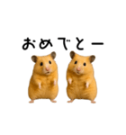 【再販】動く！なかよしハムスターズ（個別スタンプ：4）