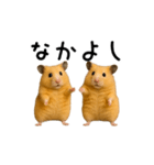 【再販】動く！なかよしハムスターズ（個別スタンプ：7）