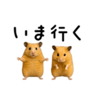 【再販】動く！なかよしハムスターズ（個別スタンプ：11）