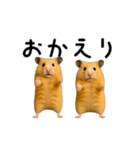 【再販】動く！なかよしハムスターズ（個別スタンプ：14）