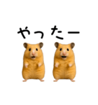 【再販】動く！なかよしハムスターズ（個別スタンプ：16）