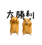 【再販】動く！なかよしハムスターズ（個別スタンプ：18）