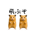 【再販】動く！なかよしハムスターズ（個別スタンプ：20）