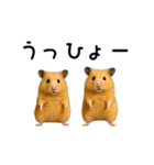 【再販】動く！なかよしハムスターズ（個別スタンプ：21）