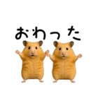 【再販】動く！なかよしハムスターズ（個別スタンプ：22）