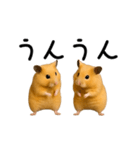 【再販】動く！なかよしハムスターズ（個別スタンプ：23）