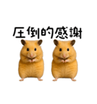 【再販】動く！なかよしハムスターズ（個別スタンプ：24）