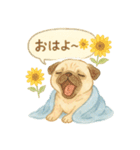 夏パグ日和スタンプ（個別スタンプ：1）