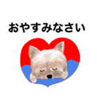 ワンパクなヨークシャーテリア（個別スタンプ：3）