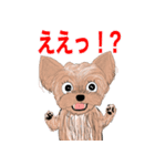 ワンパクなヨークシャーテリア（個別スタンプ：9）