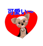 ワンパクなヨークシャーテリア（個別スタンプ：23）