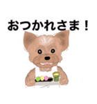 ワンパクなヨークシャーテリア（個別スタンプ：28）