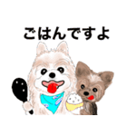 ワンパクなヨークシャーテリア（個別スタンプ：29）