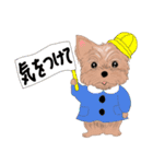 ワンパクなヨークシャーテリア（個別スタンプ：31）