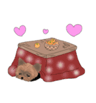 ワンパクなヨークシャーテリア（個別スタンプ：37）