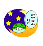 ただの小さなカメ（個別スタンプ：20）