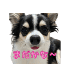 ペロペロアポロのスタンプ（拡大版）（個別スタンプ：32）