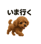 優しいトイプードルの日常で使えるLINE（個別スタンプ：3）