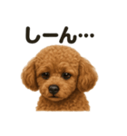 優しいトイプードルの日常で使えるLINE（個別スタンプ：8）