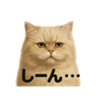 優しいペルシャ猫の日常で使えるLINE（個別スタンプ：8）