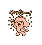 ラテプードル（個別スタンプ：12）