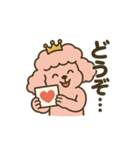 ラテプードル（個別スタンプ：16）