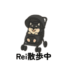 れい✖️るい黒柴犬（個別スタンプ：19）