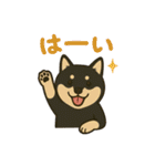 れい✖️るい黒柴犬（個別スタンプ：22）