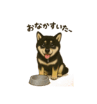 れい✖️るい黒柴犬（個別スタンプ：26）