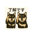 れい✖️るい黒柴犬（個別スタンプ：27）