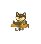 れい✖️るい黒柴犬（個別スタンプ：31）