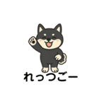 れい✖️るい黒柴犬（個別スタンプ：34）