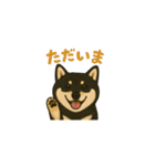 れい✖️るい黒柴犬（個別スタンプ：35）
