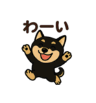 れい✖️るい黒柴犬（個別スタンプ：37）