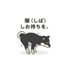 れい✖️るい黒柴犬（個別スタンプ：39）