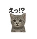 可愛いマンチカンの日常で使えるLINE（個別スタンプ：7）