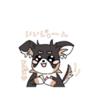 まろ眉ロングコートチワワのまろ。（個別スタンプ：2）