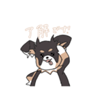 まろ眉ロングコートチワワのまろ。（個別スタンプ：4）