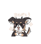 まろ眉ロングコートチワワのまろ。（個別スタンプ：7）