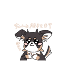 まろ眉ロングコートチワワのまろ。（個別スタンプ：10）