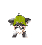 まろ眉ロングコートチワワのまろ。（個別スタンプ：13）