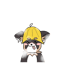 まろ眉ロングコートチワワのまろ。（個別スタンプ：14）
